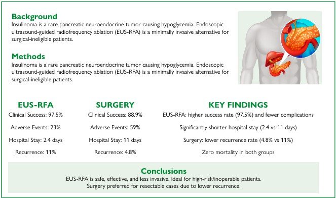 Endoscopic ultrasound-guided radiofrequency ablation of pancreatic insulinoma 3 Visual abstract