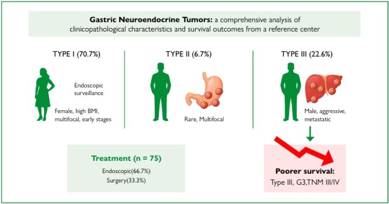 Gastric neuroendocrine tumors: a comprehensive analysis of clinicopathological characteristics and survival outcomes from a reference center 1 Visual abstract